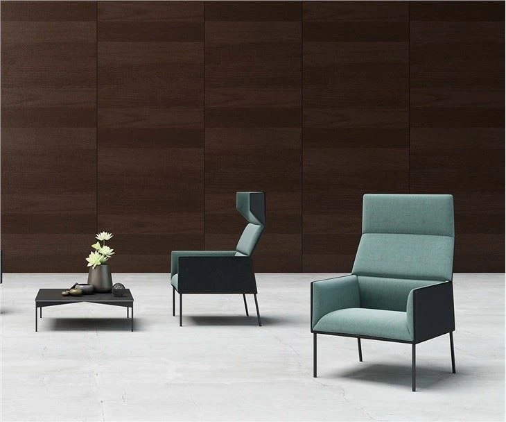 Leisure Sofa